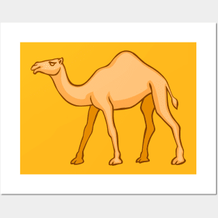 Camel Posters and Art